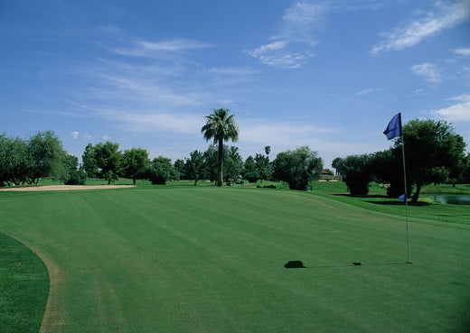 The SLC-130 Golf Bag: Your New Golf Companion That Solves Every Problem