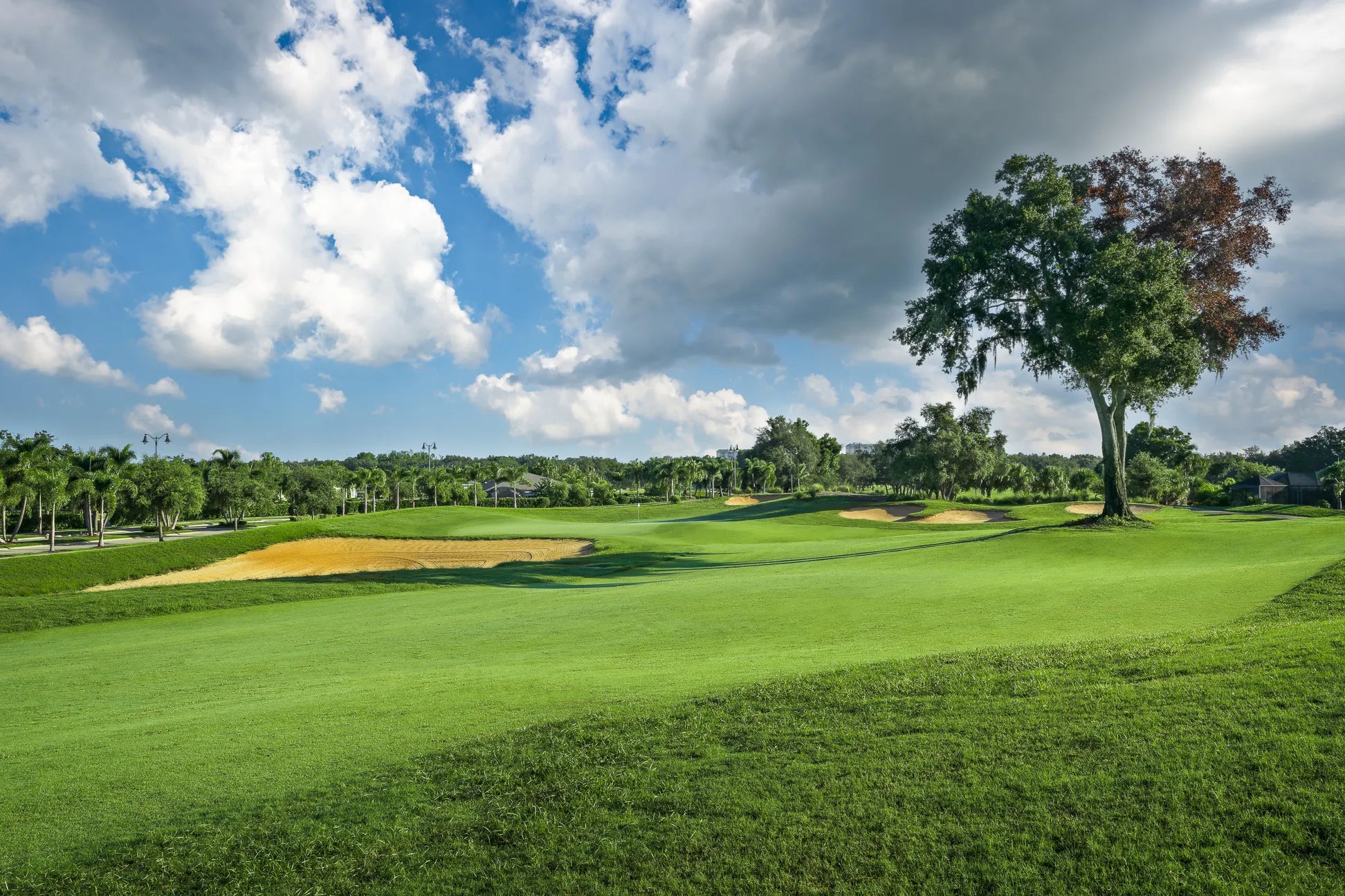 My Experience with the ASKECHO SLC-130