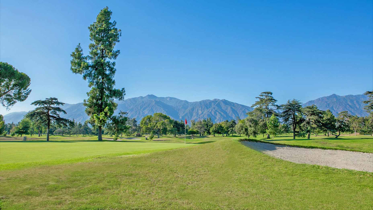 Tired of the Noise? ASKECHO's T-Lock Bag Beats TaylorMade in Design and Function